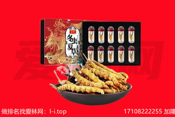 达州大竹县回收虫草.jpg
